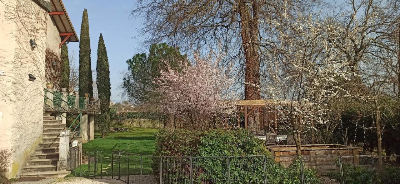 Chambre D'Hotes Park Des Collines - Gite Génissieux Zewnętrze zdjęcie
